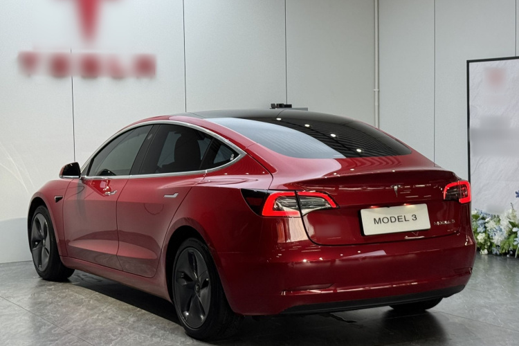 Tesla Model 3 2020 car image #19