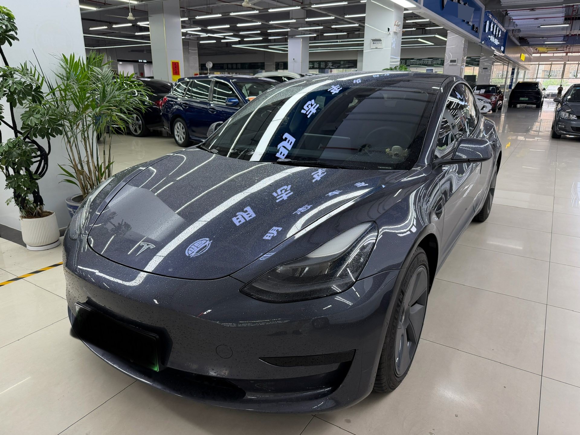 Tesla Model 3 2021 Tesla Model 3 2021 car image