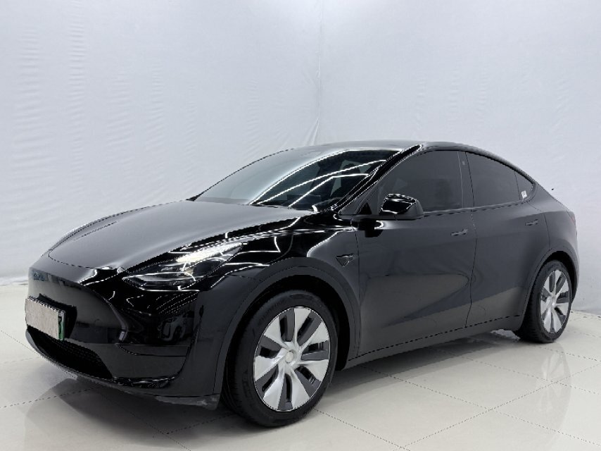 Tesla Model Y 2022 Tesla Model Y 2022 car image