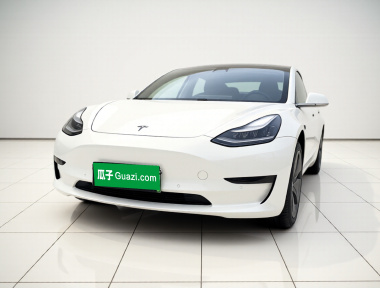 Tesla Model 3 2020 Tesla Model 3 2020 car image