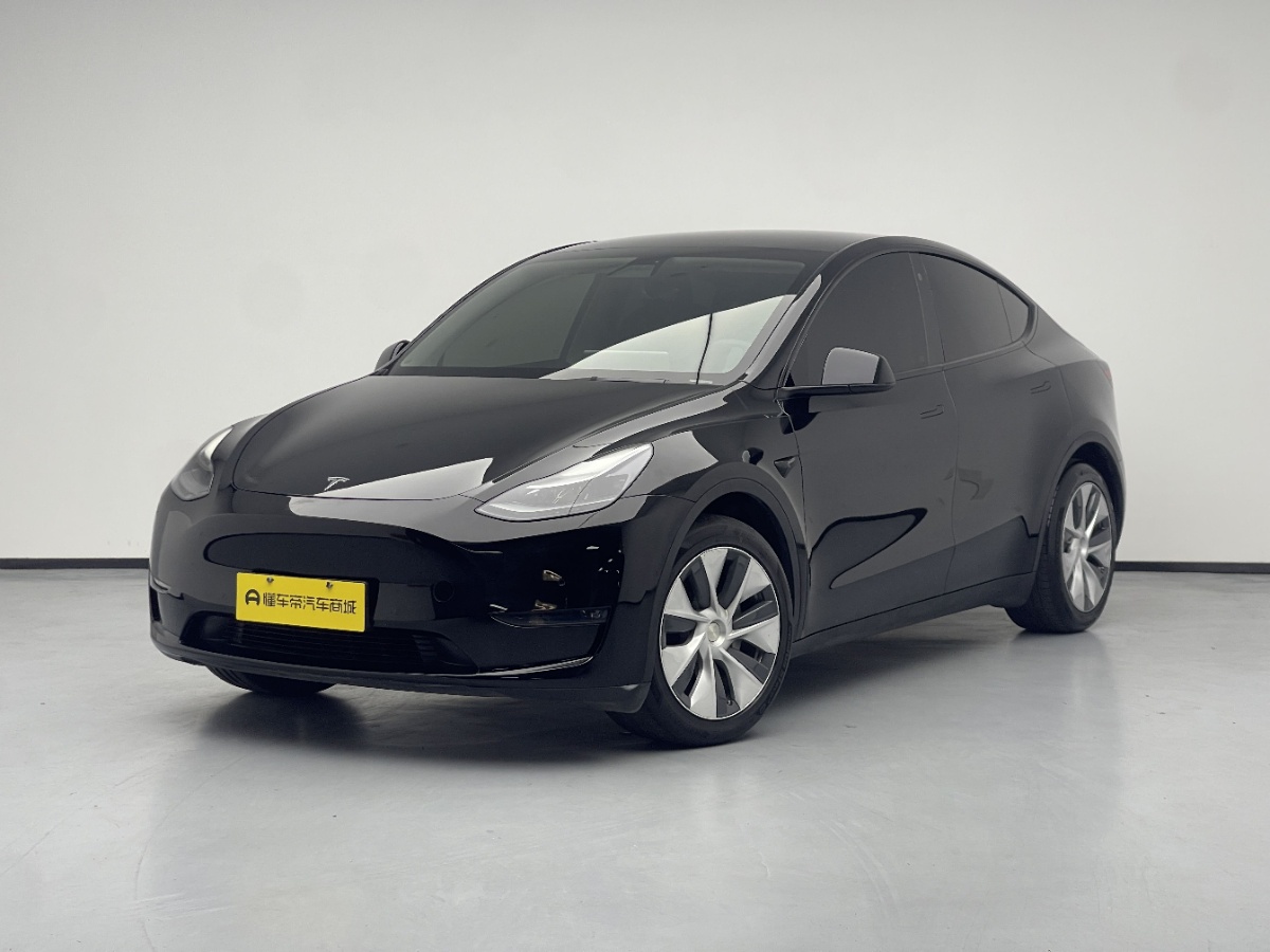 Tesla Model Y 2021 Tesla Model Y 2021 car image