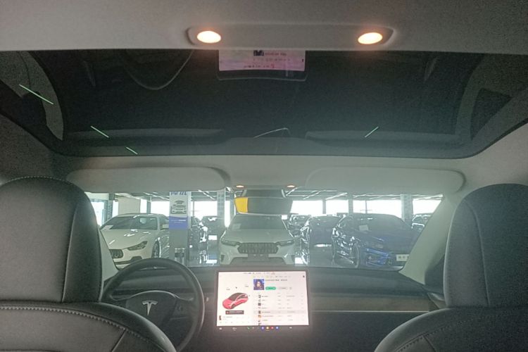 Tesla Model 3 2021 #20 Tesla Model 3 2021 car image #20