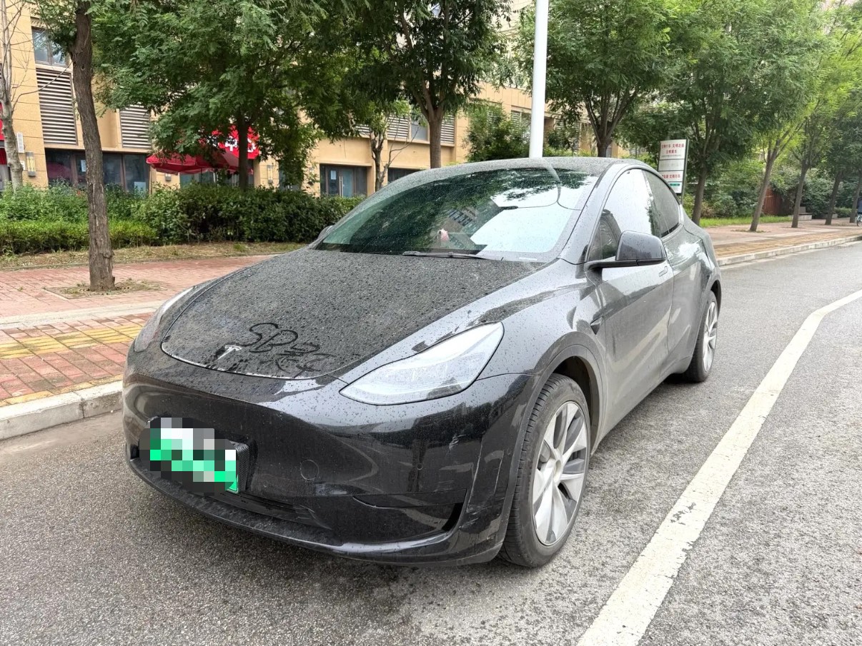 Tesla Model Y 2023 Tesla Model Y 2023 car image