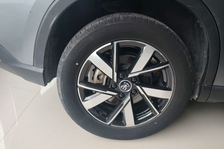 BYD Song Pro New Energy 2024 immagine di auto #10
