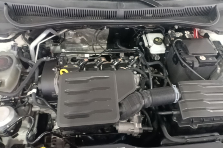Volkswagen Polo 2023 immagine di auto #20