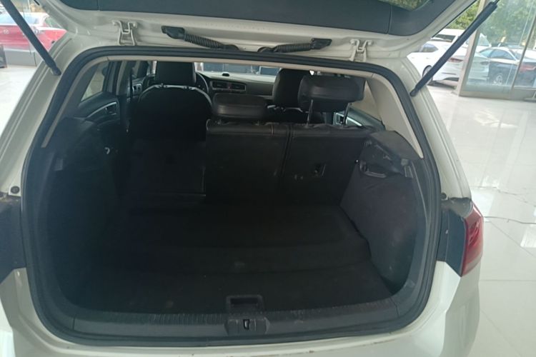 Volkswagen Golf 2020 car image #19