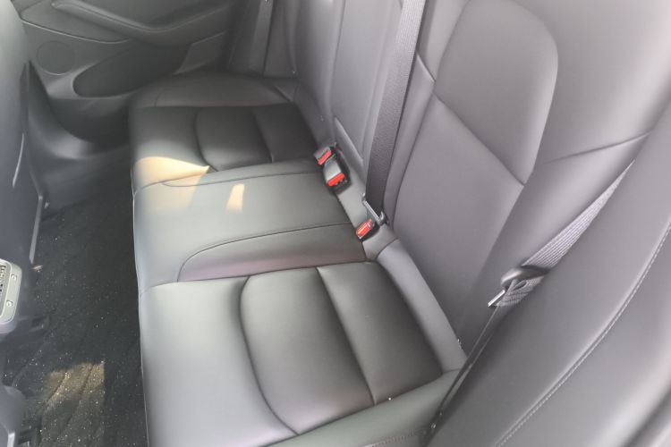 Tesla Model 3 2021 car image #17