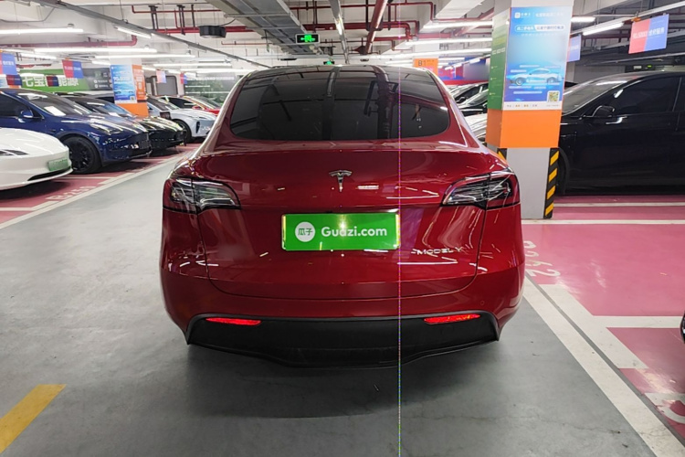 Tesla Model Y 2023 #6 Tesla Model Y 2023 car image #6