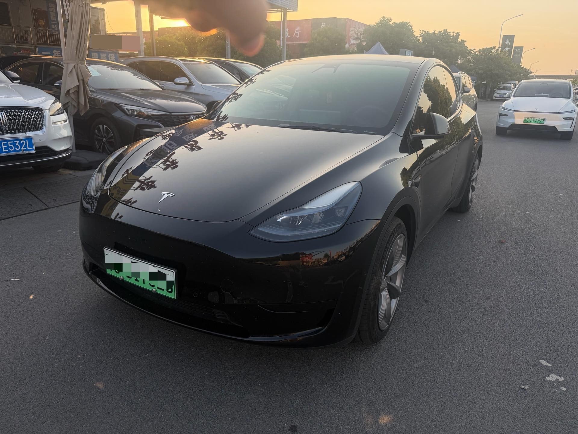 Tesla Model Y 2022 car image 