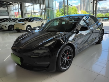 Tesla Model 3 2022 Tesla Model 3 2022 car image