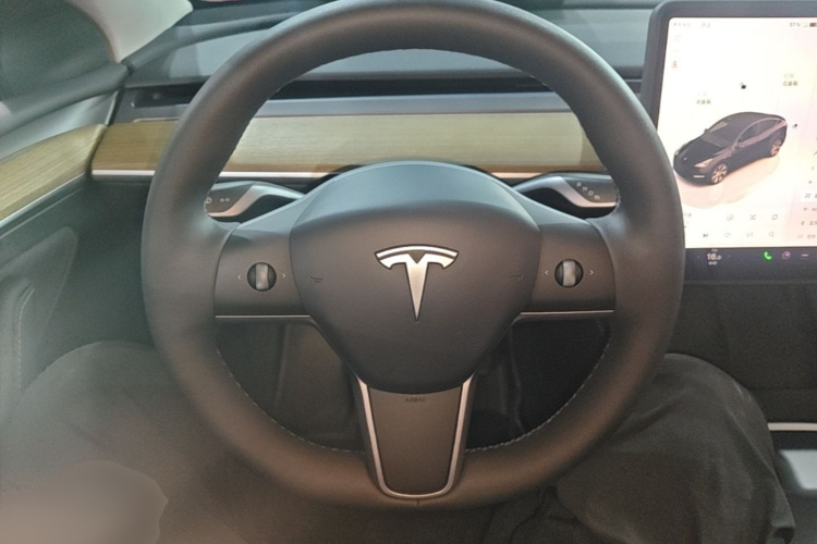 Tesla Model Y 2023 car image #11