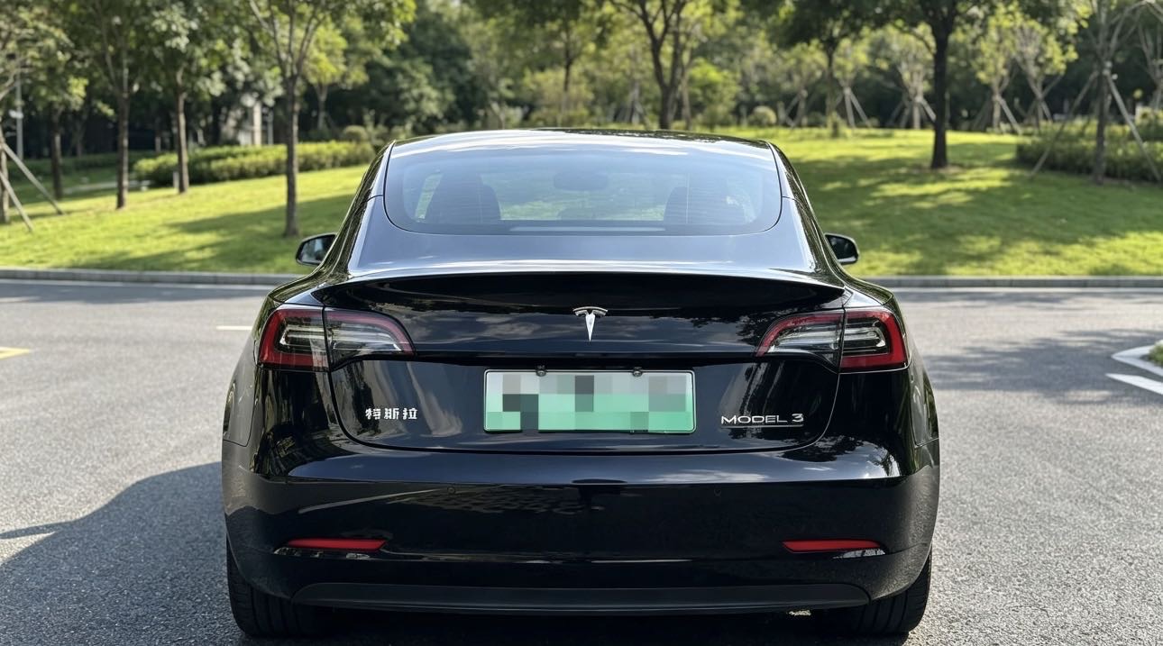 Tesla Model 3 2021 car image #5