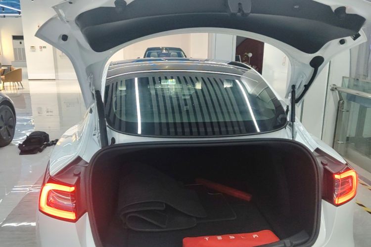 Tesla Model 3 2021 immagine di auto #19