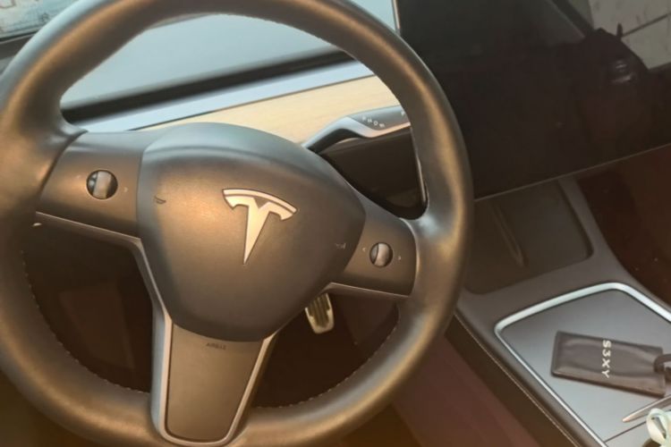 Tesla Model Y 2023 #14 Tesla Model Y 2023 صورة سيارة #14