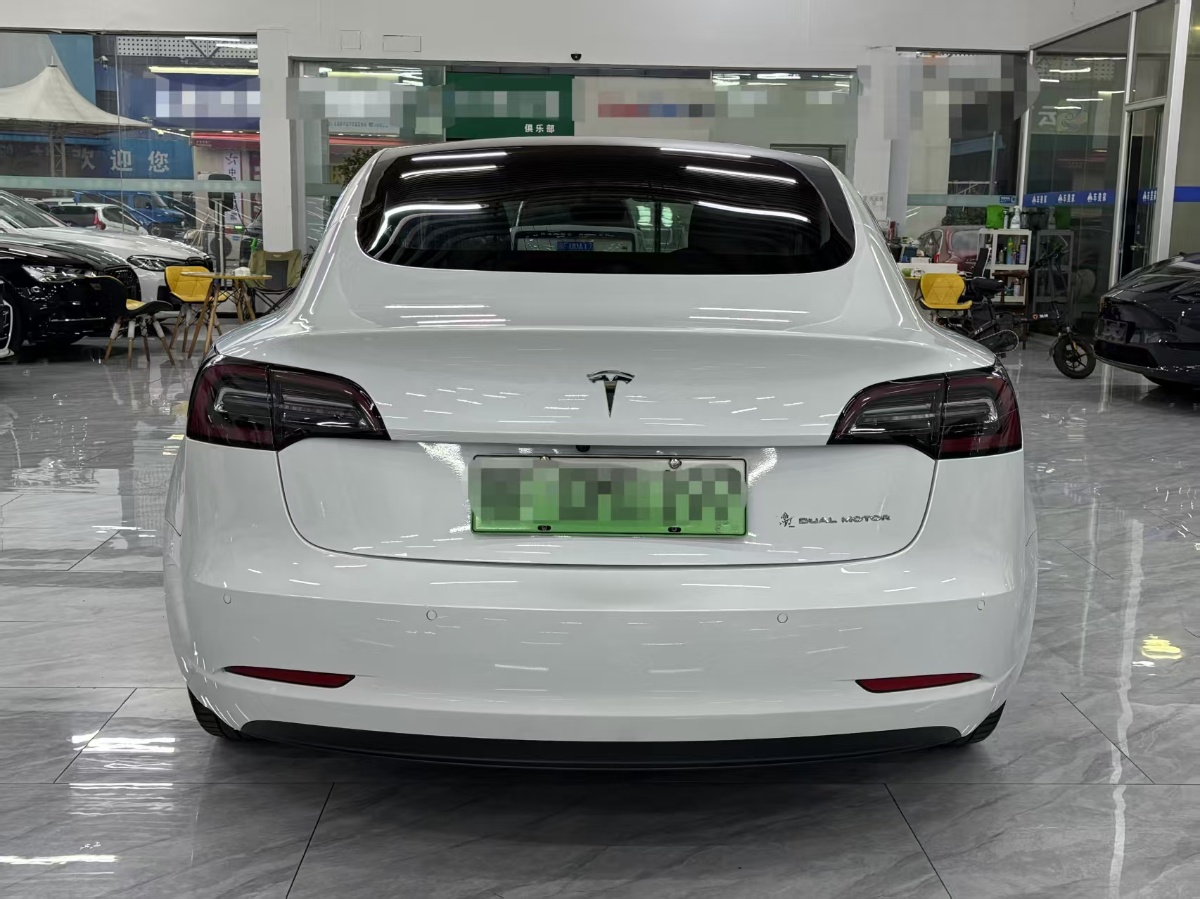 Tesla Model 3 (Imported) 2020 car image #8