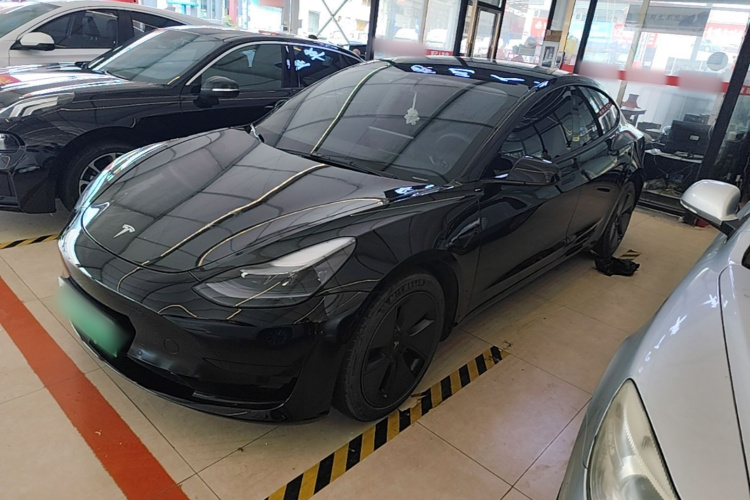 Tesla Model 3 2021 #2 Tesla Model 3 2021 car image #2