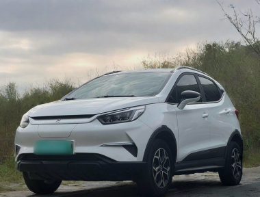BYD Yuan Pro 2021 immagine di auto 