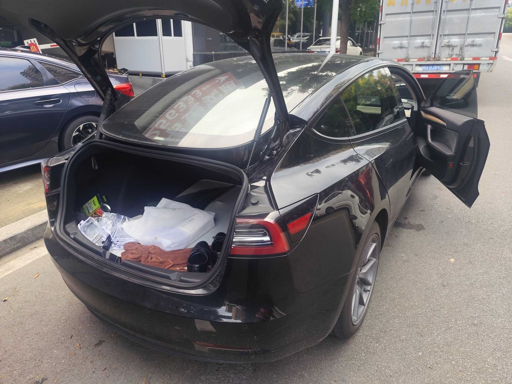 Tesla Model 3 2023 #3 Tesla Model 3 2023 car image #3
