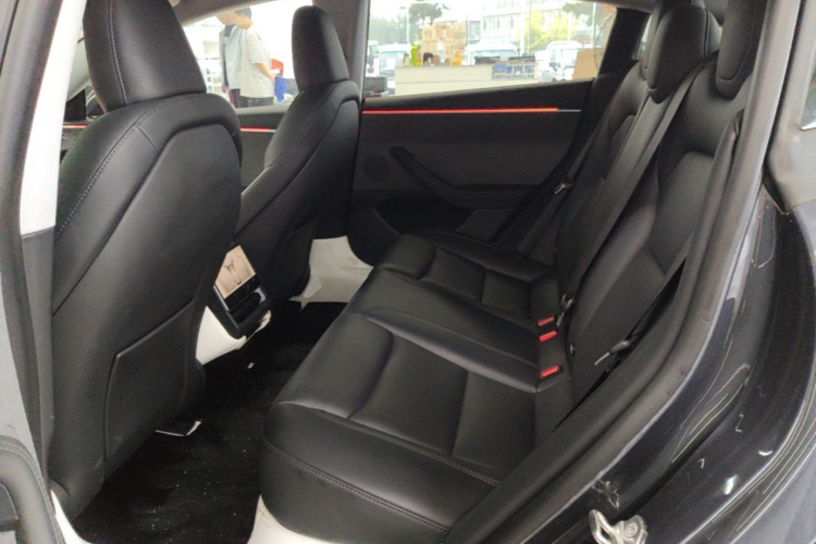 Tesla Model 3 2024 car image #17