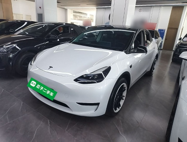 Tesla Model Y 2024 Tesla Model Y 2024 car image