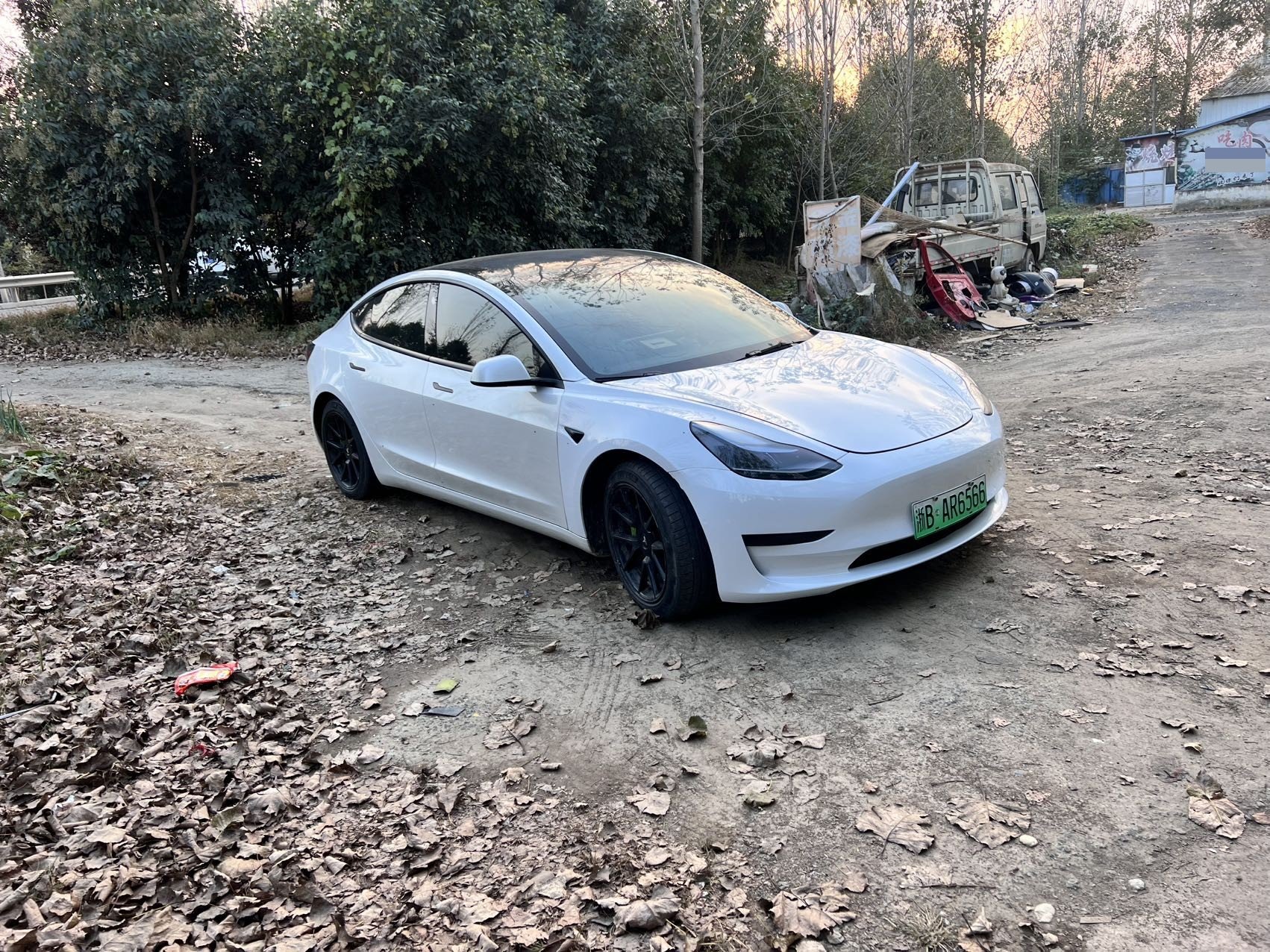 Tesla Model 3 2021 car image #4