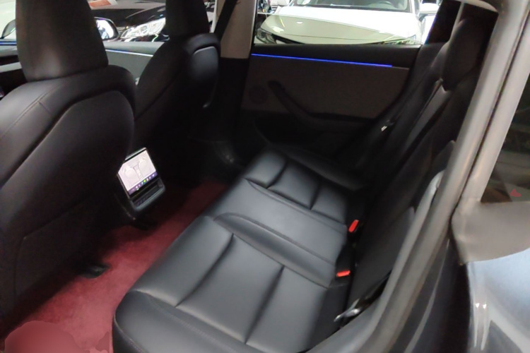 Tesla Model 3 2025 car image #17