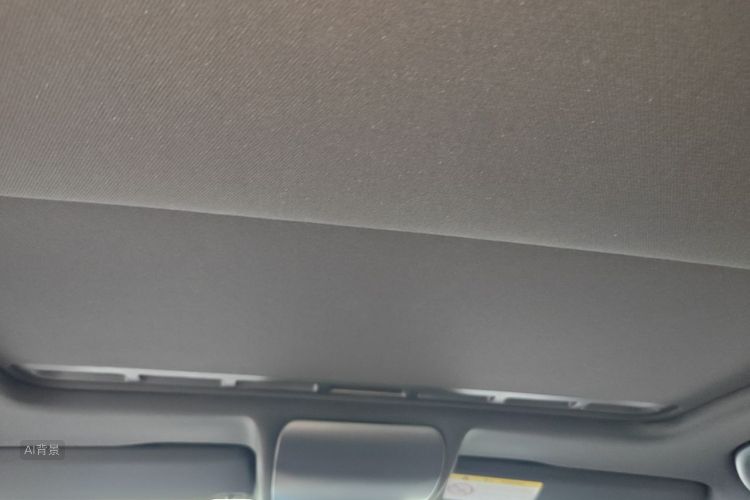 Volkswagen Polo 2016 car image #20