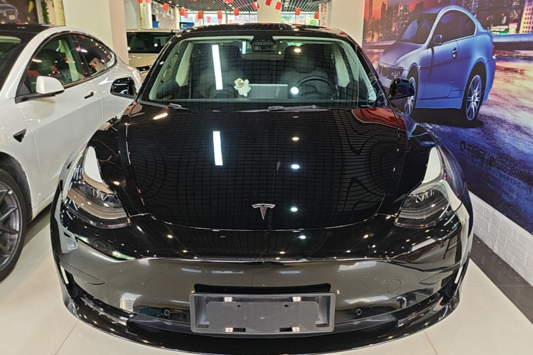 Tesla Model 3 2021 imagem de carro #3