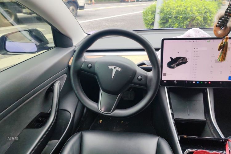Tesla Model 3 2020 car image #12