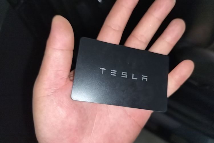 Tesla Model Y 2024 car image #9