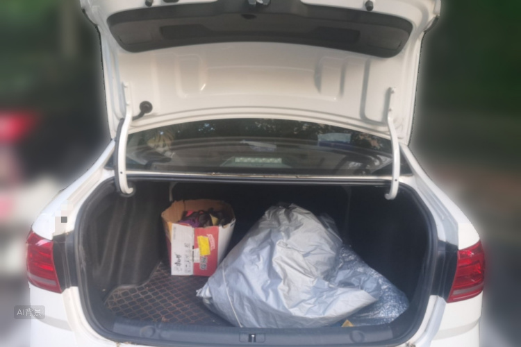 Volkswagen Lavida 2018 car image #21