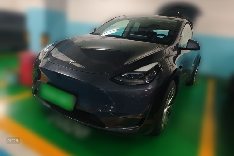 Tesla Model Y 2021 car image #2