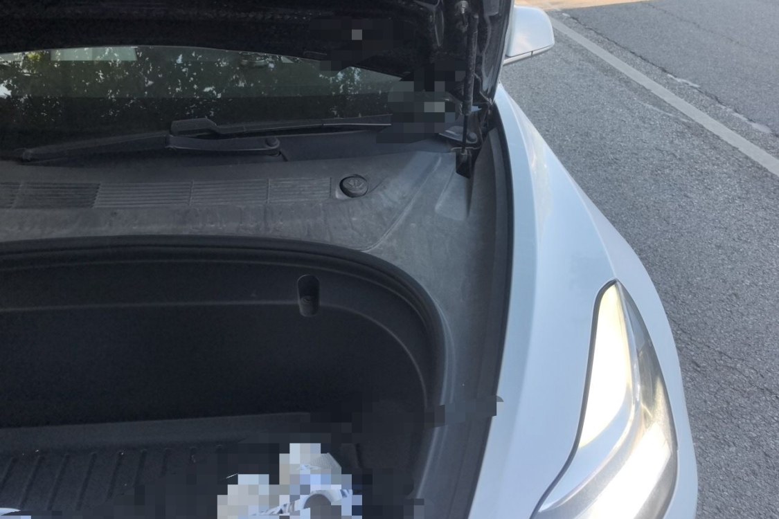 Tesla Model 3 2020 #12 Tesla Model 3 2020 car image #12