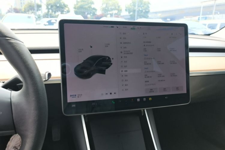Tesla Model 3 2020 car image #13