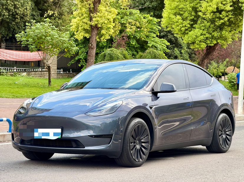 Tesla Model Y 2023 Tesla Model Y 2023 car image