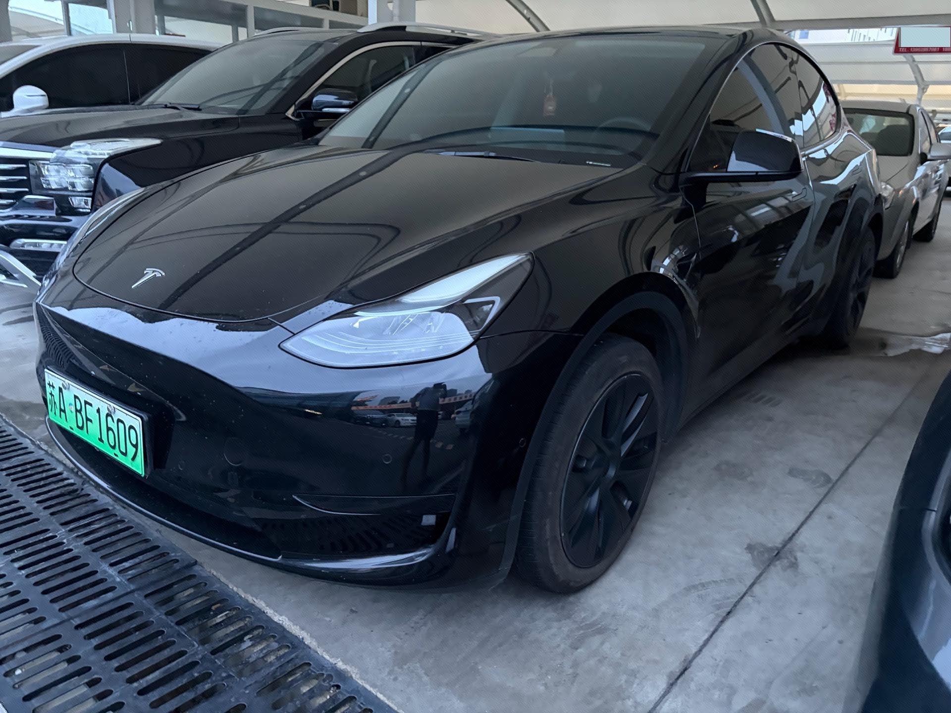 Tesla Model Y 2023 Tesla Model Y 2023 car image