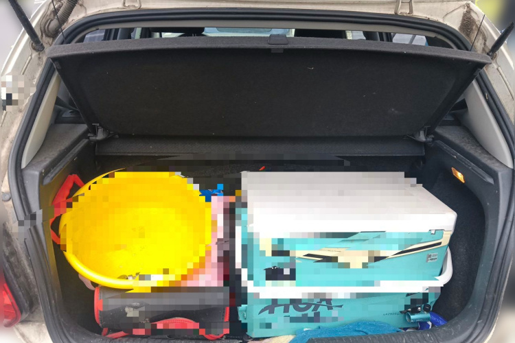 Volkswagen Polo 2015 car image #17