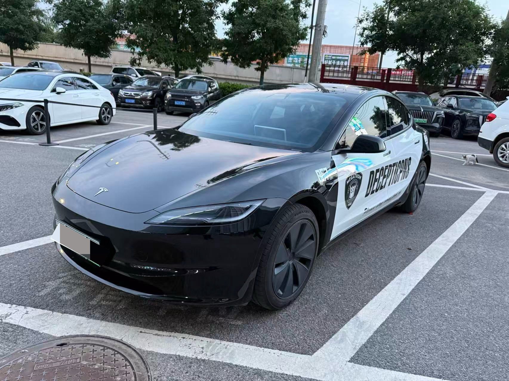 Tesla Model 3 2025 car image 