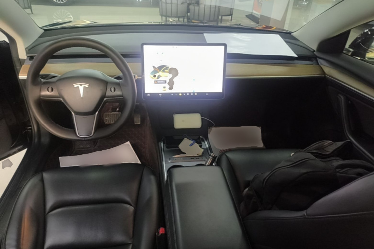 Tesla Model 3 2021 immagine di auto #11