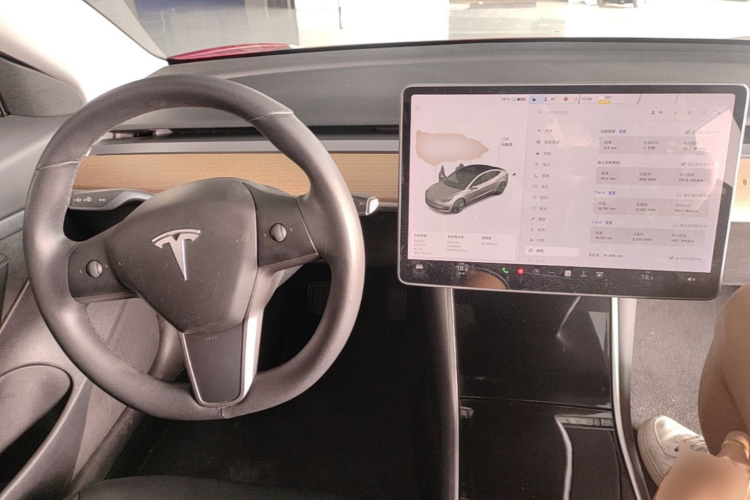Tesla Model 3 2020 car image #10
