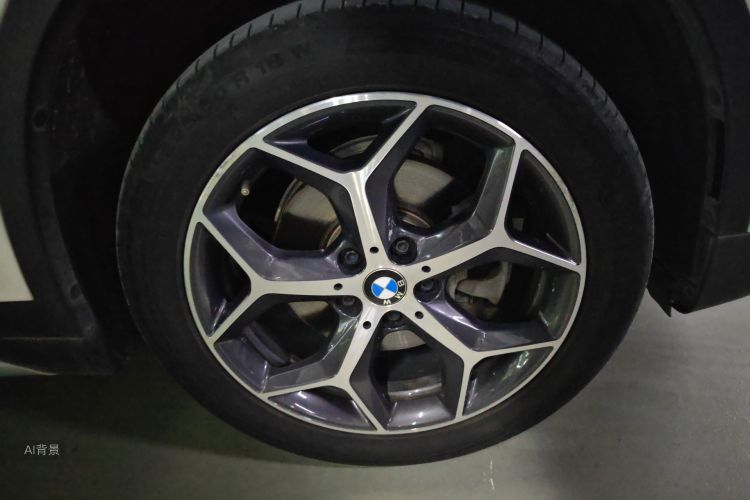 BMW X1 2019 car image #9
