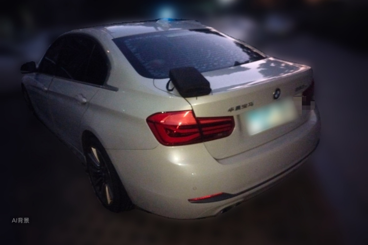 BMW 3 Series 2019 car image #5