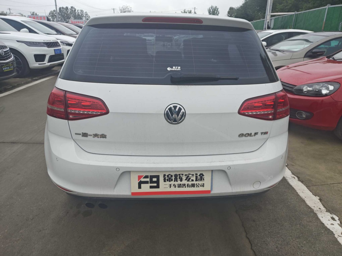 Volkswagen Golf 2014 car image #6