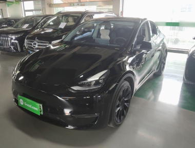Tesla Model Y 2021 Tesla Model Y 2021 car image