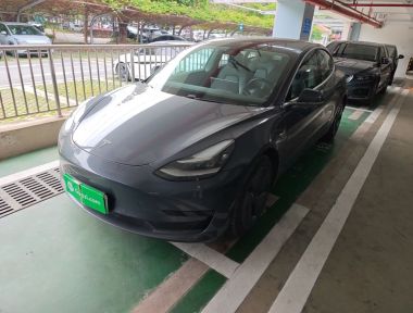Tesla Model 3 2020 Tesla Model 3 2020 car image