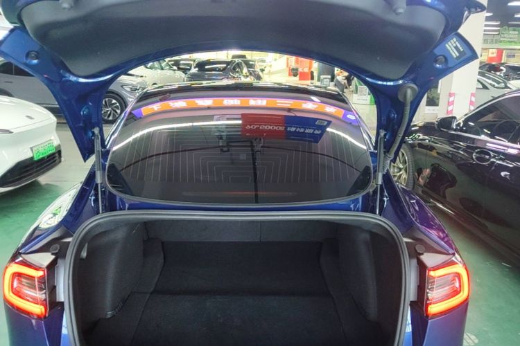 Tesla Model 3 2020 #21 Tesla Model 3 2020 car image #21