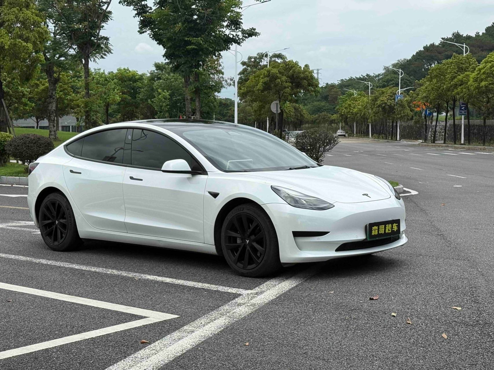 Tesla Model 3 2021 #2 Tesla Model 3 2021 car image #2