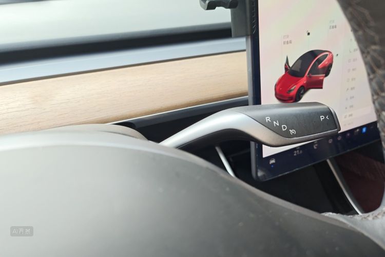 Tesla Model 3 2020 car image #16
