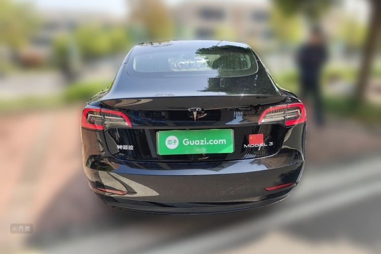 Tesla Model 3 2020 car image #6