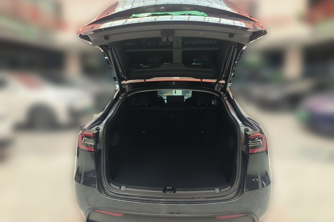 Tesla Model Y 2024 #10 Tesla Model Y 2024 car image #10
